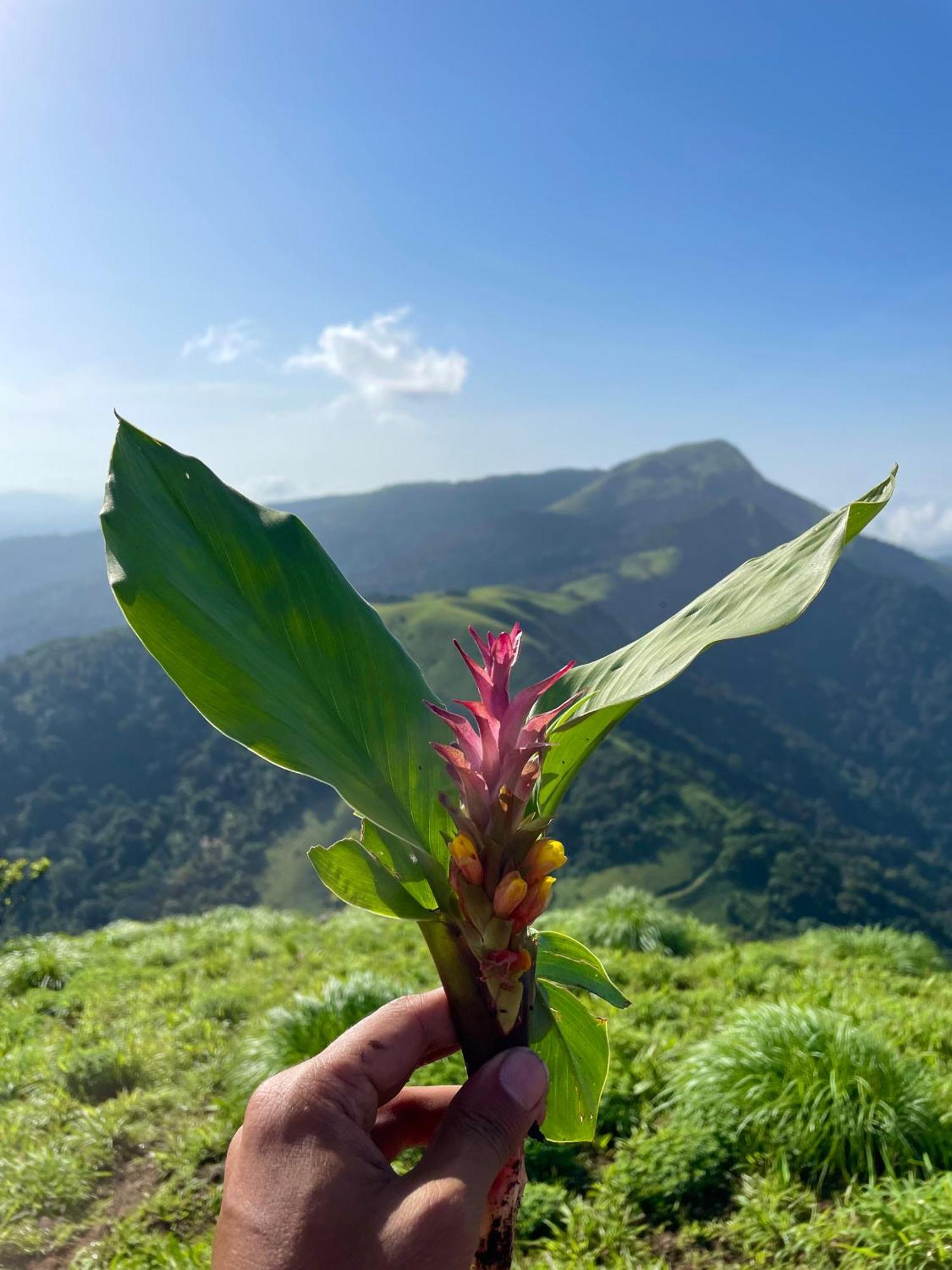 Ikyam Lägenhet Madikeri Exteriör bild